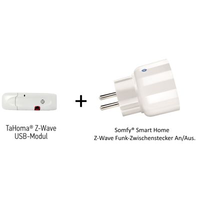 Einsteigerpaket Z-Wave für Somfy® TaHoma Premium Box Z-Wave USB-Modul und Zwischenstecker
